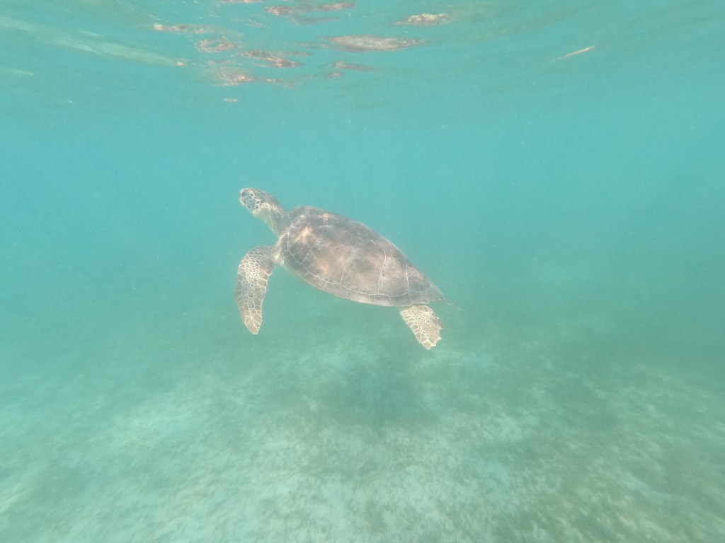 First week at&nbsp;UVI